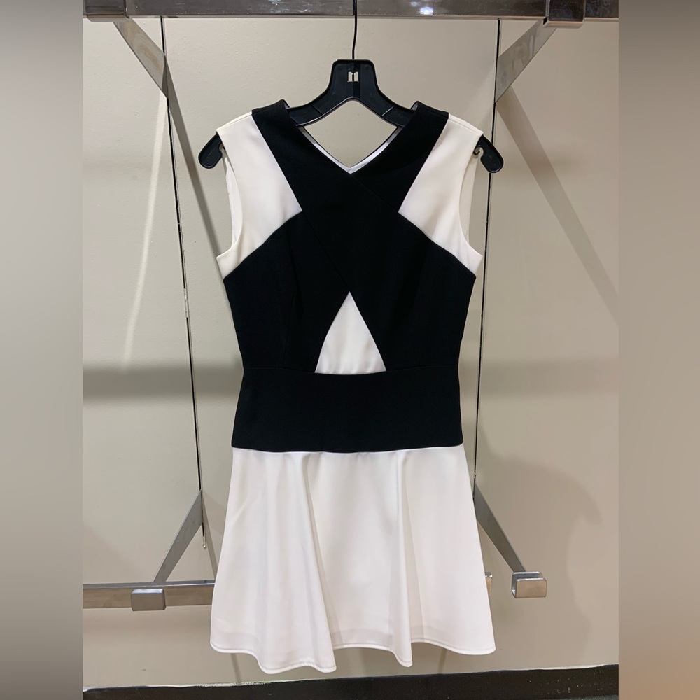BCBG Black and White Dress